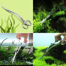 Load image into Gallery viewer, Aquatic plant Waved Scissors